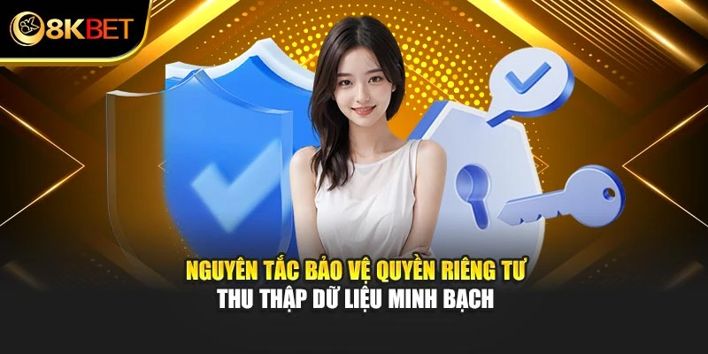 Nguyên tắc bảo vệ quyền riêng tư thu thập dữ liệu minh bạch