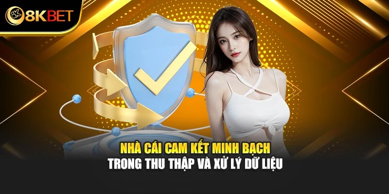 Nhà cái cam kết minh bạch trong thu thập và xử lý dữ liệu