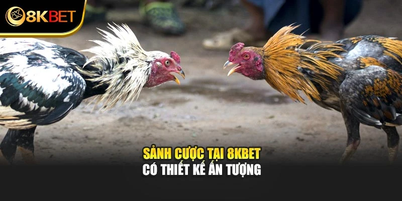 Sảnh cược tại 8KBET có thiết kế ấn tượng